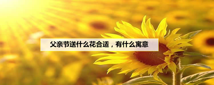 父亲节送什么花合适，有什么寓意