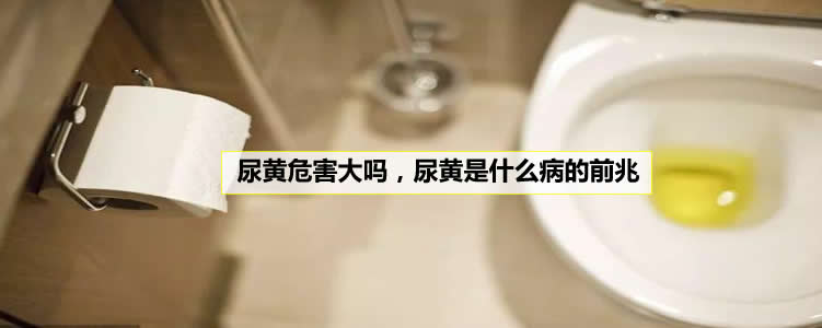 尿黄危害大吗，尿黄是什么病的前兆